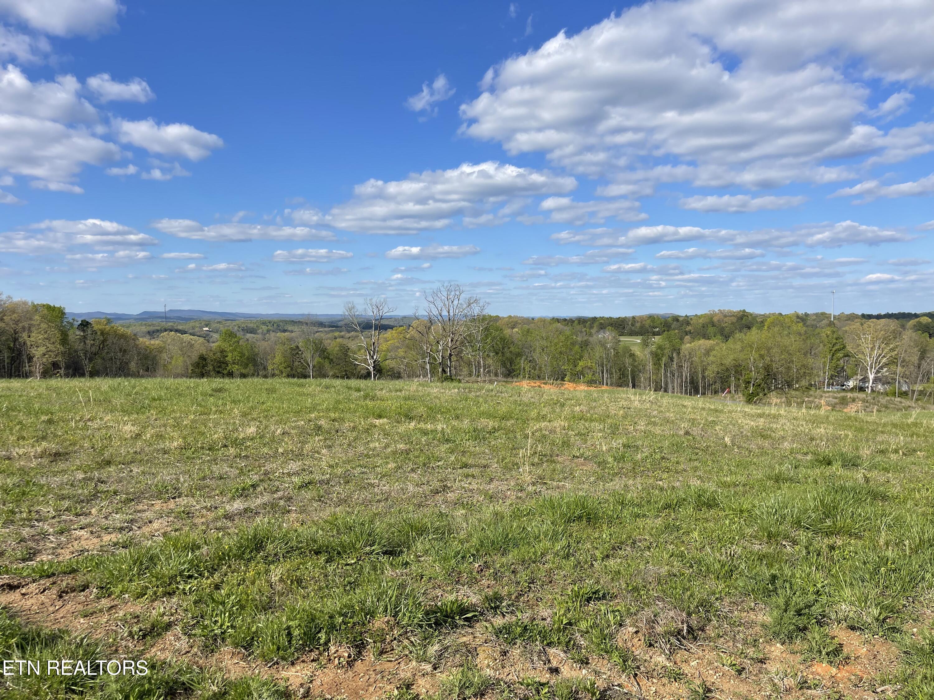 Lot 7 Laura Boling Loop Road Strawberry Plains, TN 37871 - Photo 2 of 4 B26F6FFD-A9D3-484F-90FE-F560C3AD392F