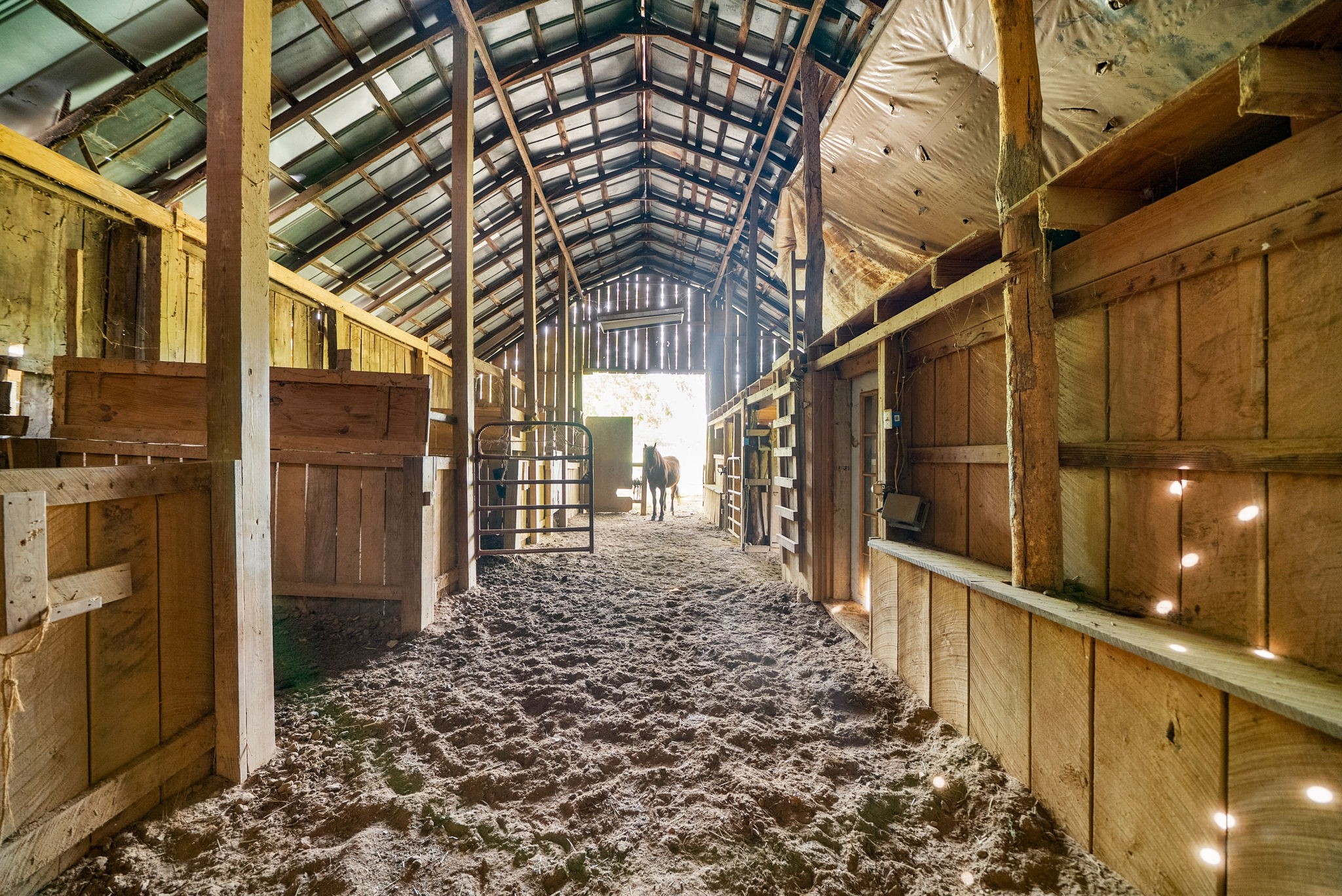 4015 Cooper Creek Road Woodlawn, TN 37191 - Photo 36 of 45