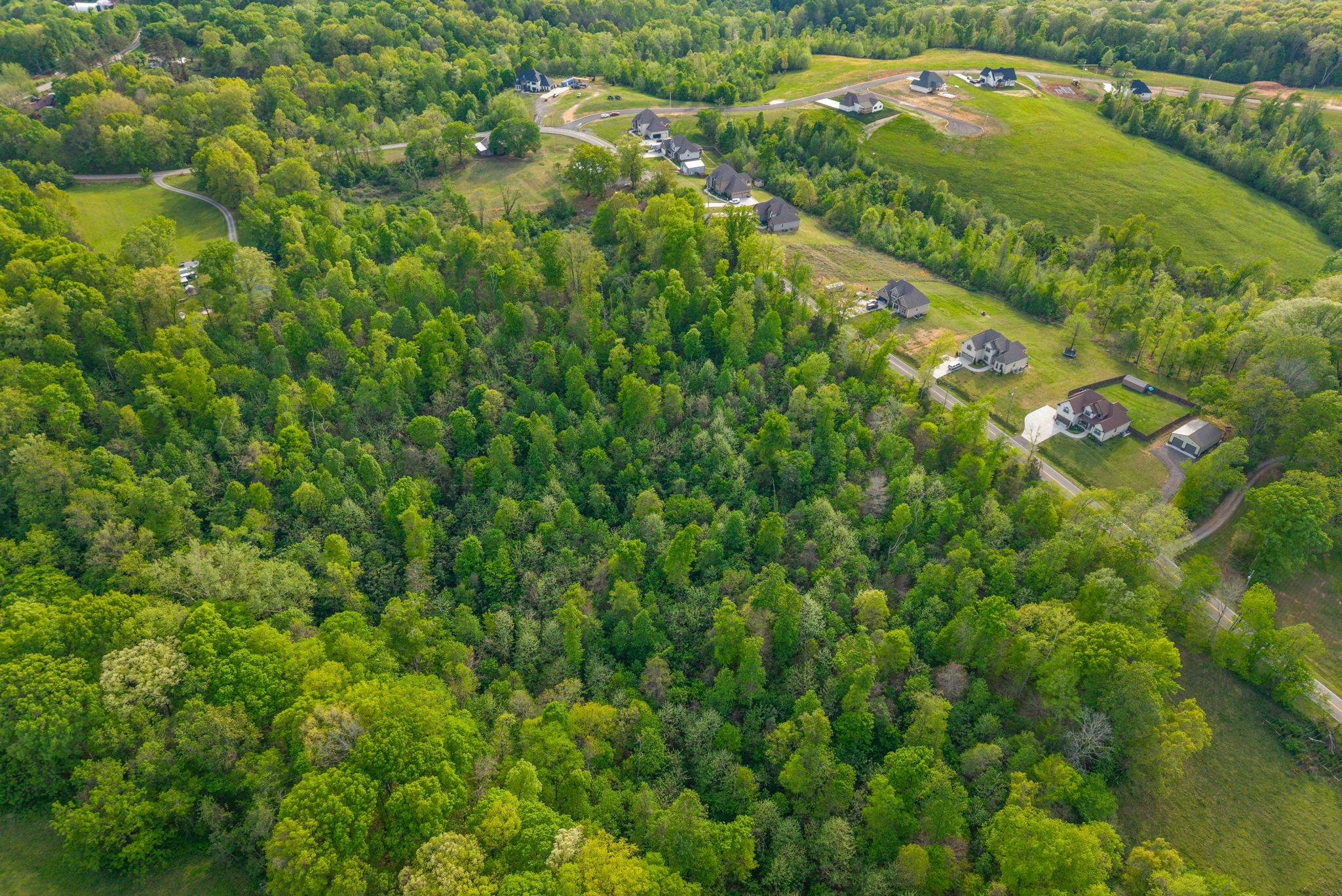 4015 Cooper Creek Road Woodlawn, TN 37191 - Photo 43 of 45