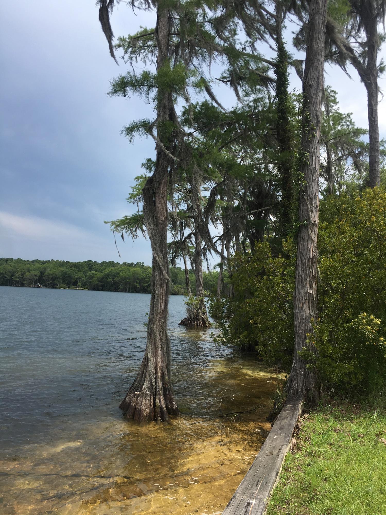 183 Lake Road Laurel Hill, FL 32567 - Photo 15 of 51 IMG_3541