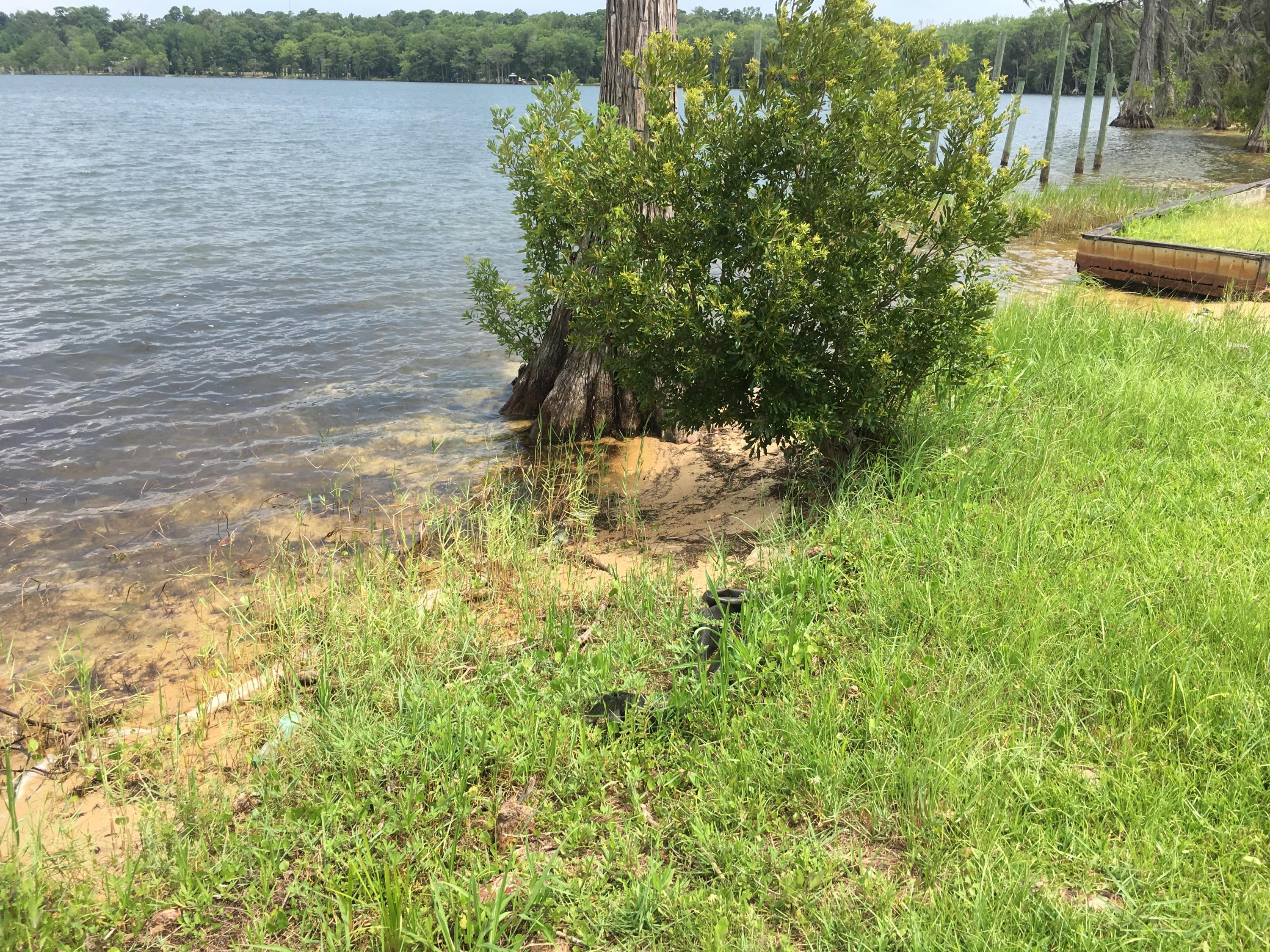 183 Lake Road Laurel Hill, FL 32567 - Photo 22 of 51 IMG_3526