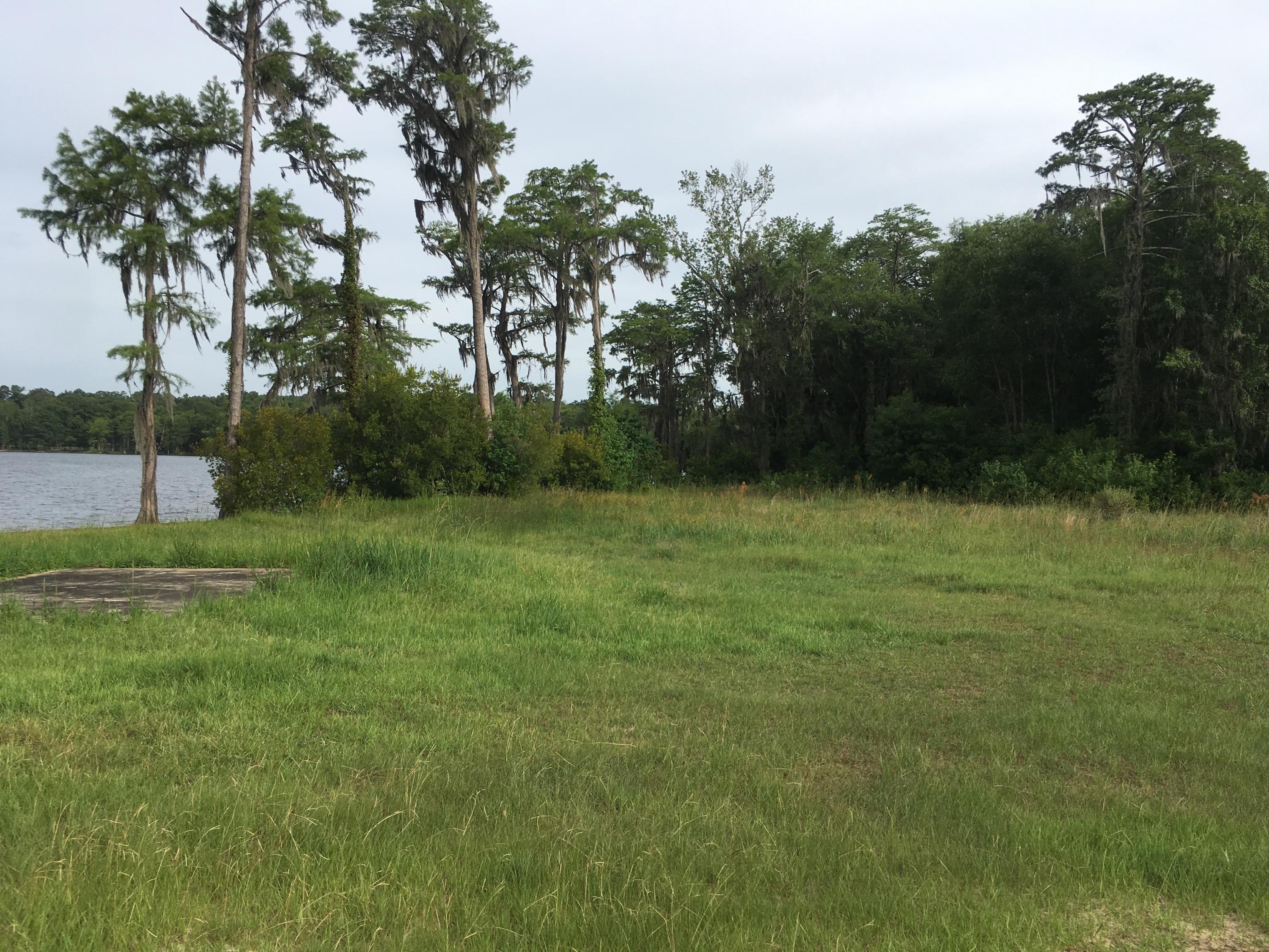 183 Lake Road Laurel Hill, FL 32567 - Photo 39 of 51 IMG_3702