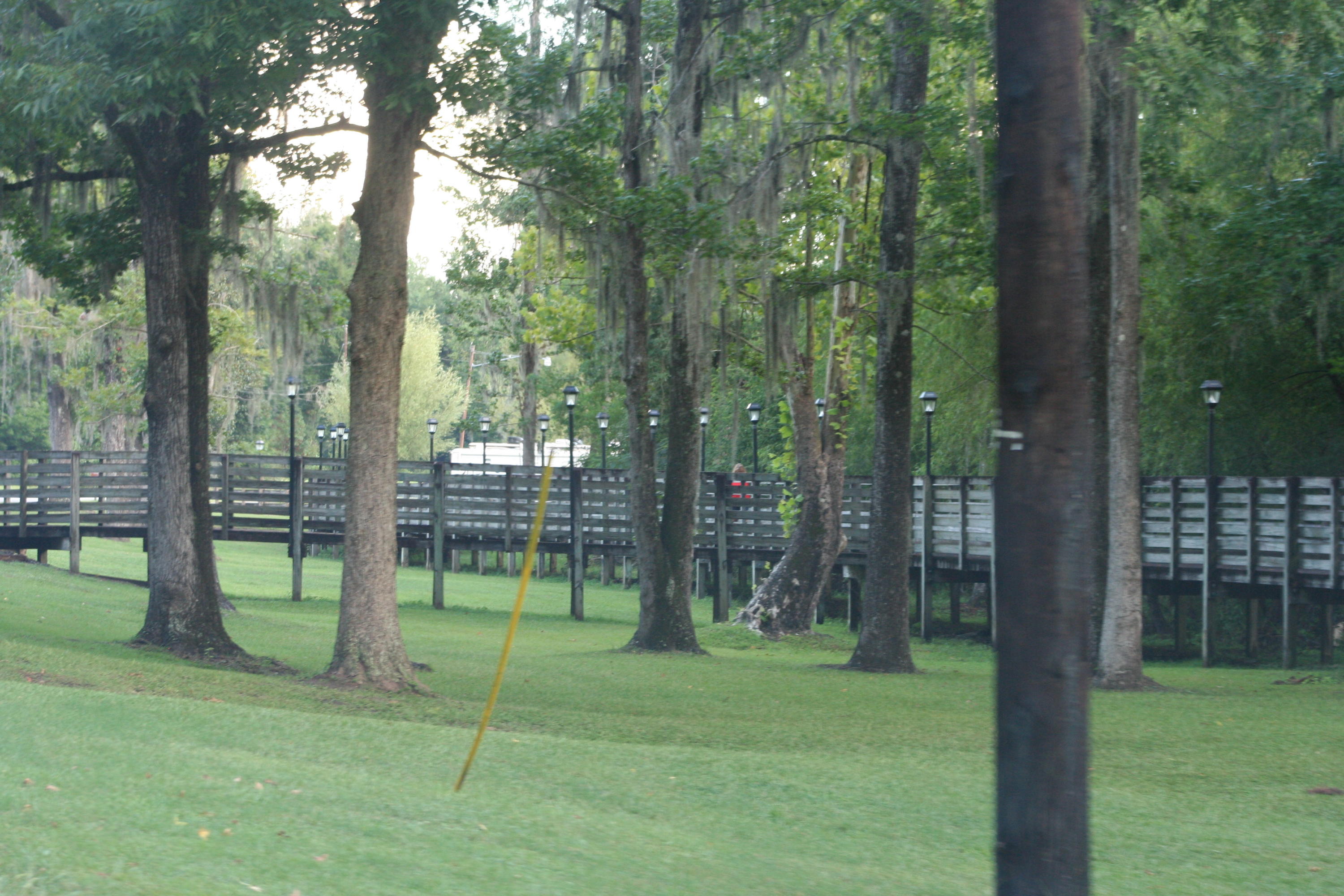 183 Lake Road Laurel Hill, FL 32567 - Photo 49 of 51 IMG_6819