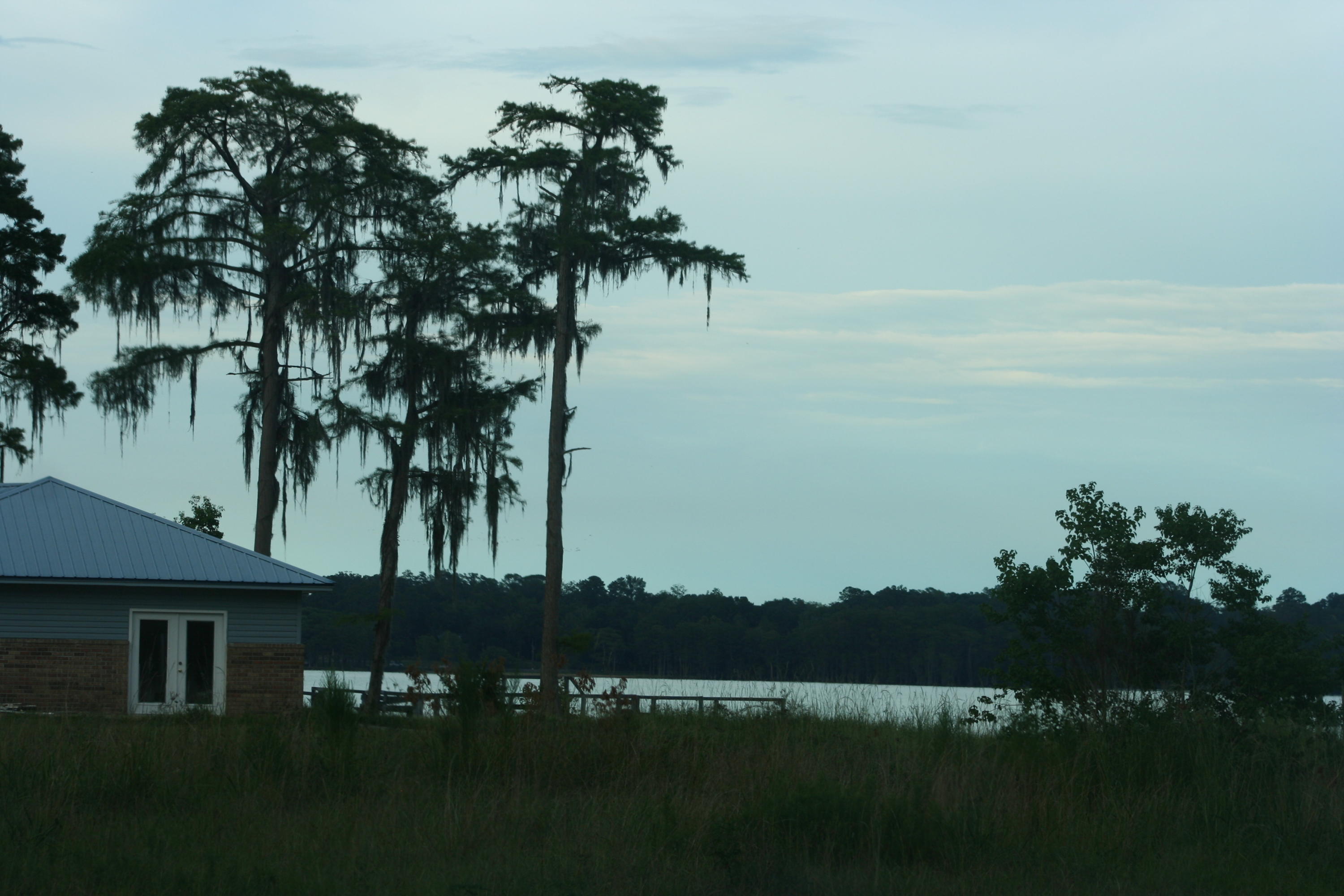 183 Lake Road Laurel Hill, FL 32567 - Photo 51 of 51 IMG_6825