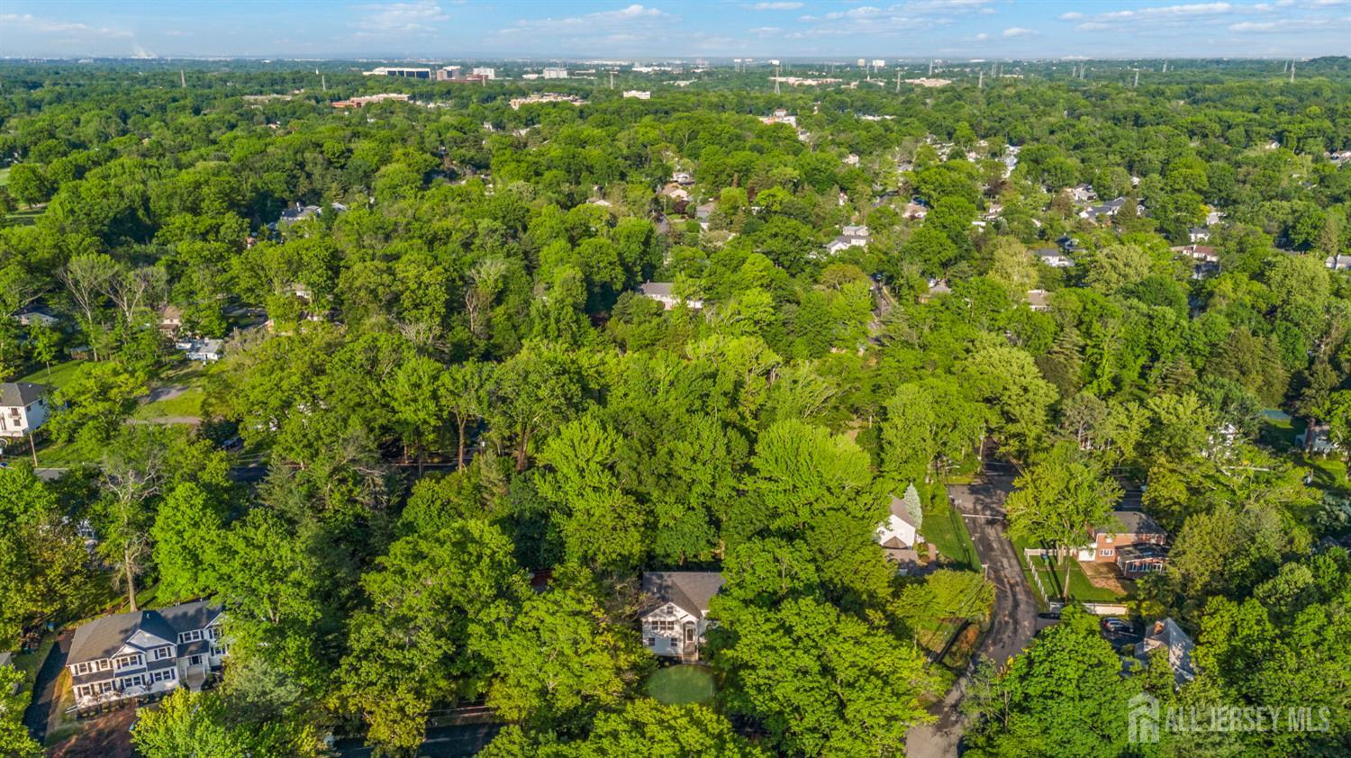 2 Beech Lane Edison, NJ 08820 - Photo 50 of 51 a view of a lush green forest