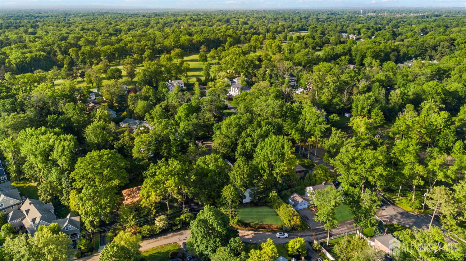 2 Beech Lane Edison, NJ 08820 - Photo 51 of 51 a view of a large yard with lots of green space