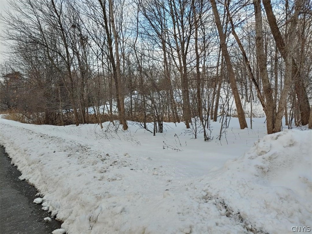647 South Terry Road Geddes, NY 13219 - Photo 1 of 1 Gallery Image 1