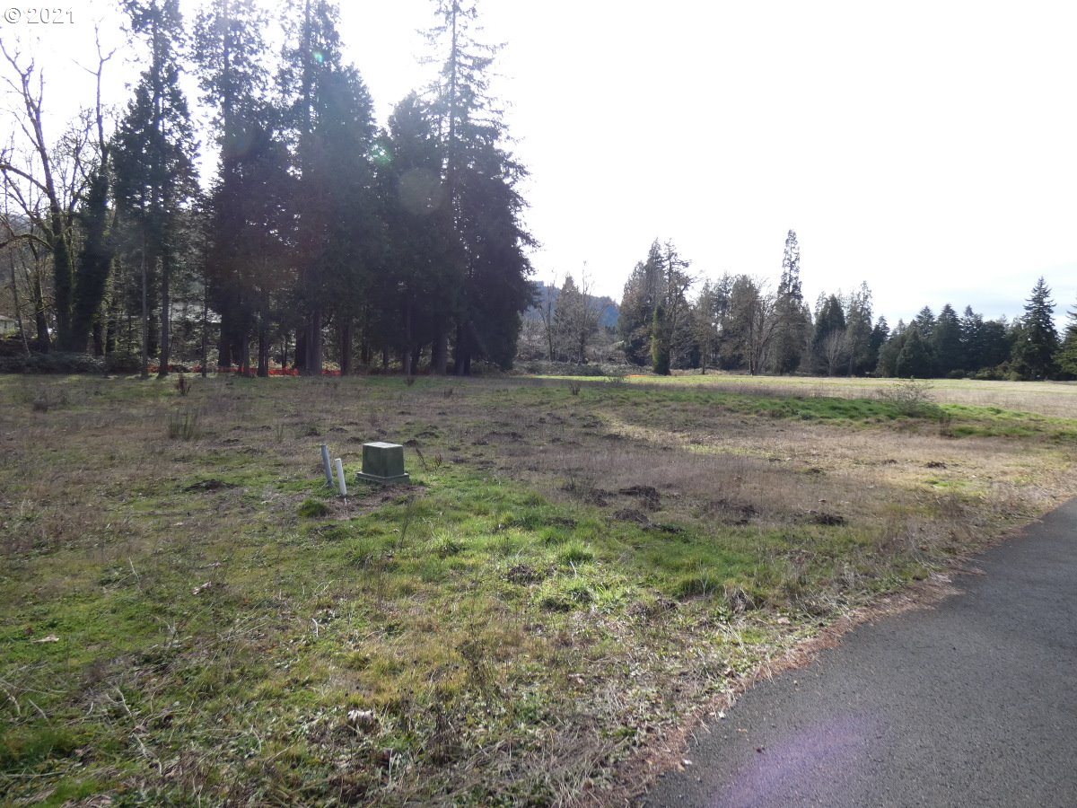 Omlid Drive, Unit 25 Springfield, OR 97478 - Photo 5 of 14 Gallery Image 5