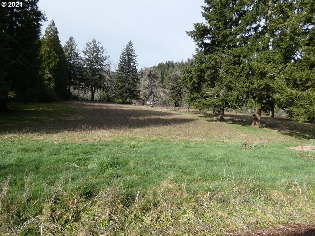 Omlid Drive, Unit 25 Springfield, OR 97478 - Photo 6 of 14 Gallery Image 6