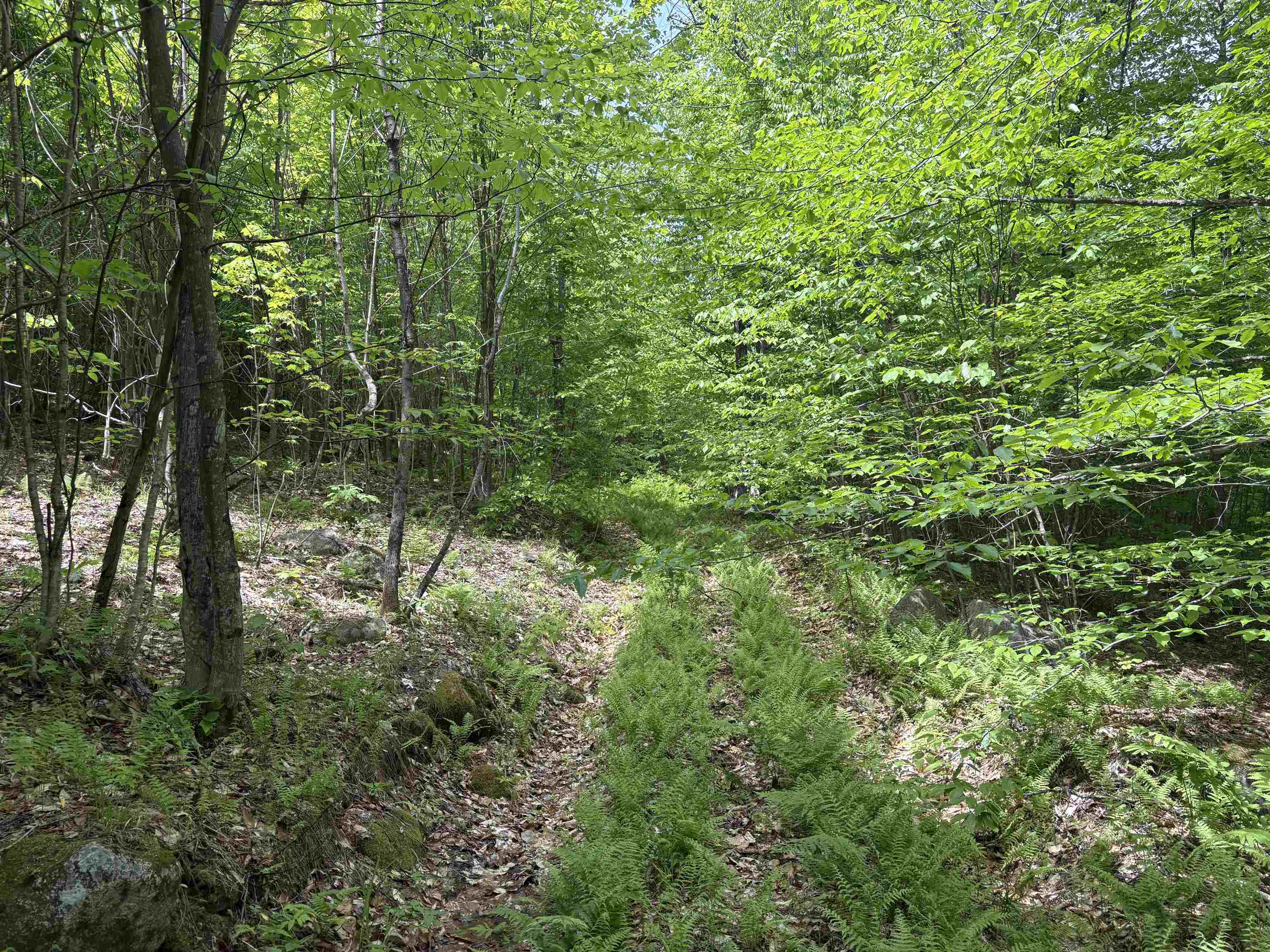0 Old Pond Hill Road Lunenburg, VT 05906 - Photo 23 of 60 Gallery Image 23