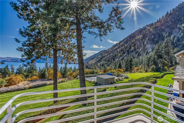 a view of a backyard with plants and a garden