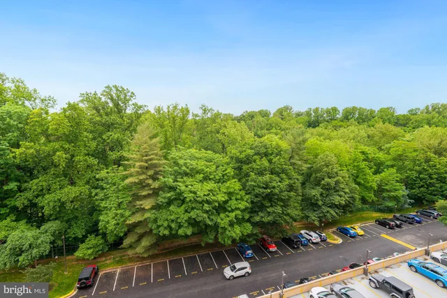 $2,650 | 3800 Powell Lane, Unit 813, Falls Church, VA 22041