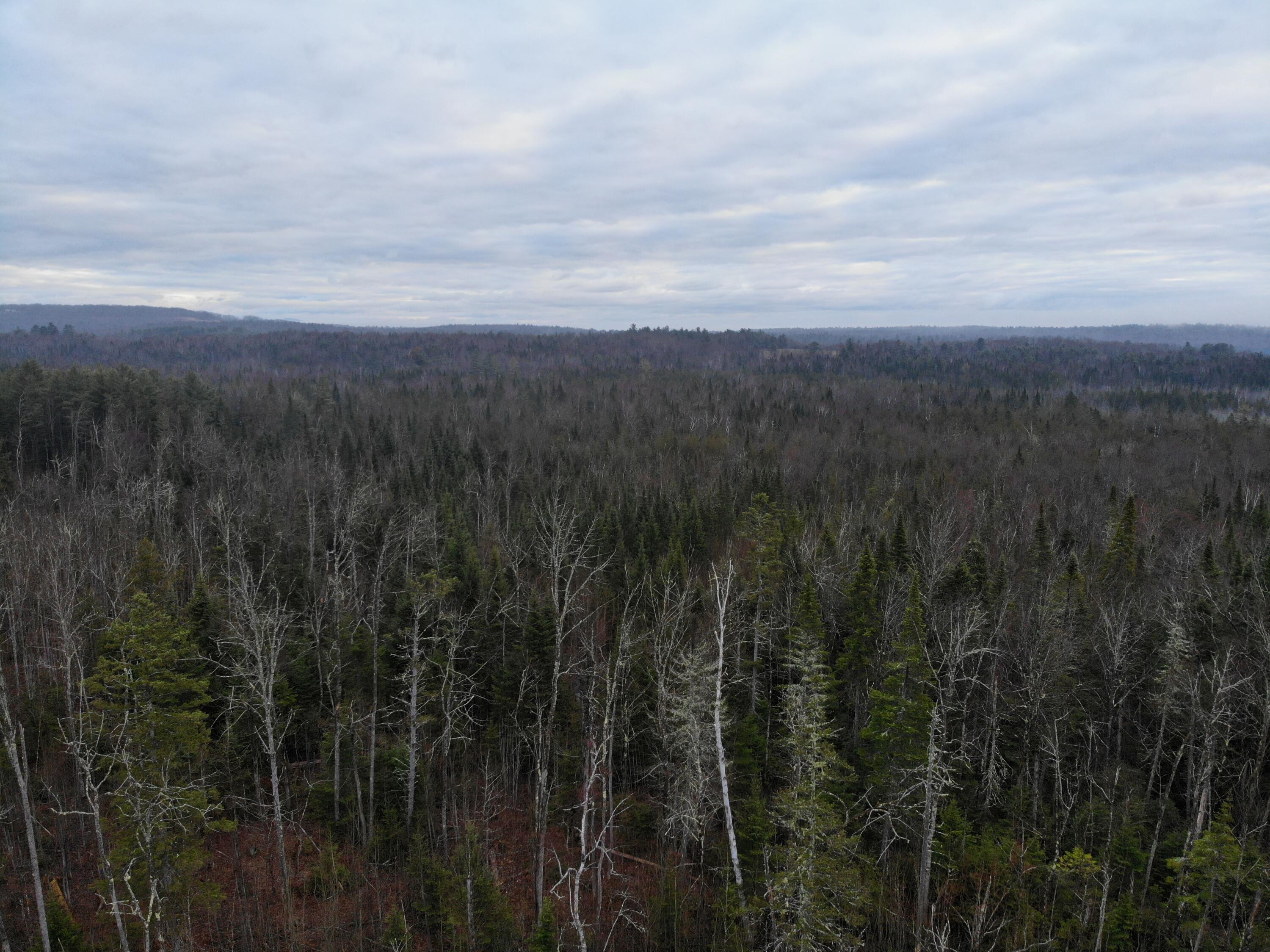 Map5-lot1 Silvers Mills Road Sangerville, ME 04479 - Photo 25 of 33