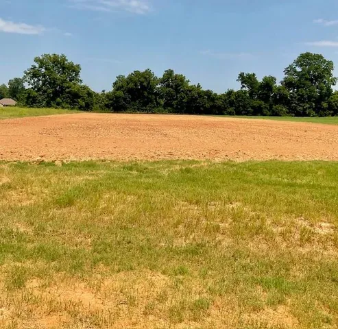 $134,000 | 0 Navy's, Boyce, LA 71409