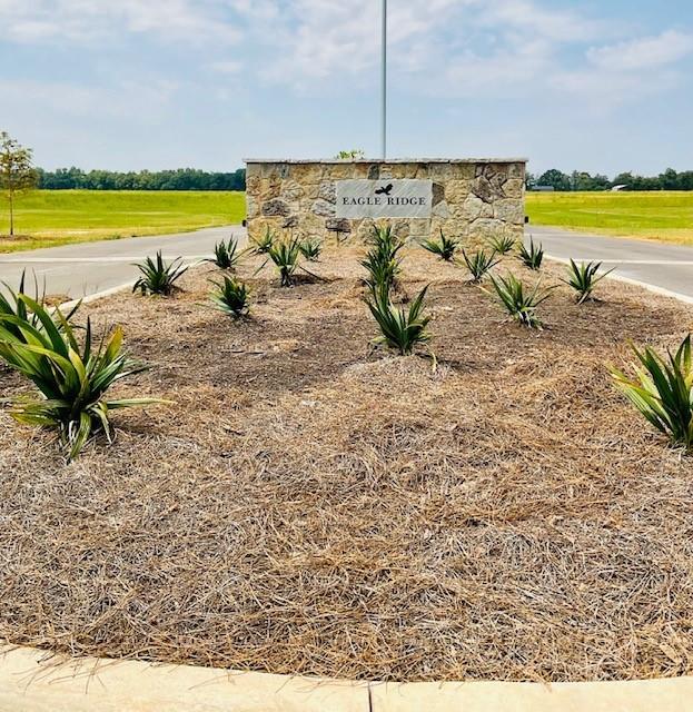 0 Navy's Boyce, LA 71409 - Photo 5 of 23