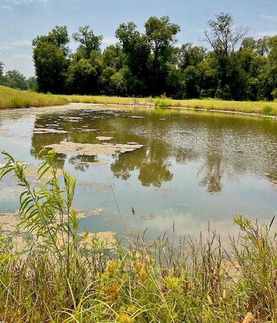 0 Navy's Boyce, LA 71409 - Photo 7 of 23