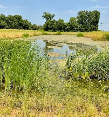 $134,000 | 0 Navy's, Boyce, LA 71409