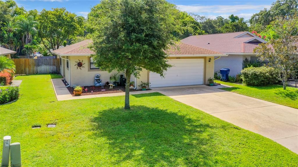 4216 Redleaf Drive New Port Richey, FL 34652 - Photo 1 of 1 Gallery Image 1