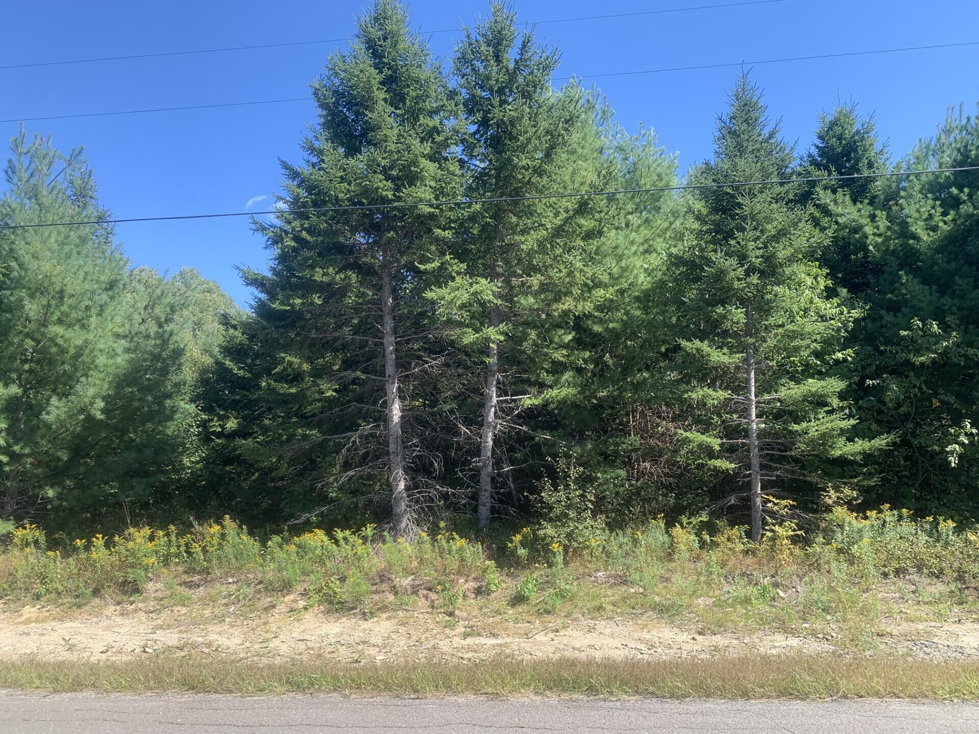 Lot 1 Gallison Road Sherman, ME 04776 - Photo 2 of 4 MLS2