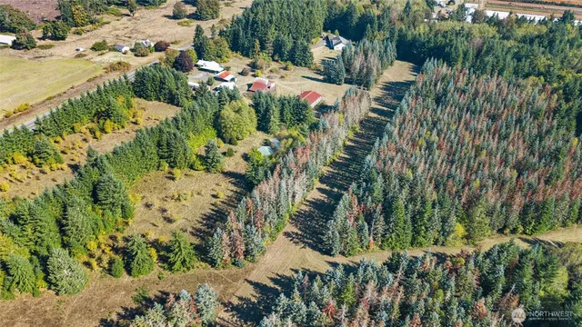 $950,000 | 1956 Highway 12, Ethel, WA 98542
