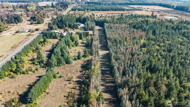 $950,000 | 1956 Highway 12, Ethel, WA 98542