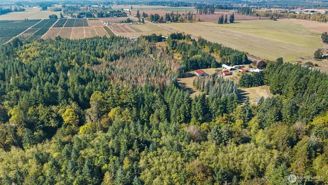 $950,000 | 1956 Highway 12, Ethel, WA 98542