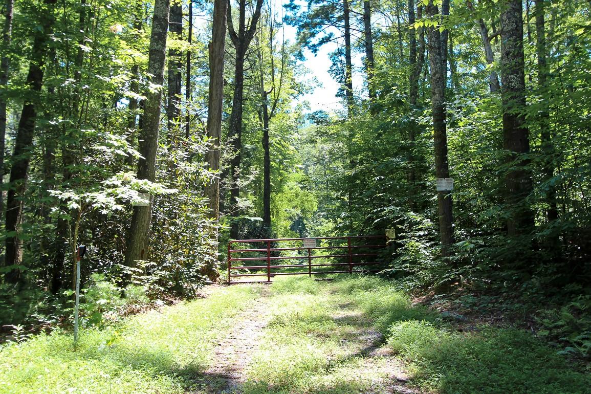 3408 Rocky Ridge Road Cosby, TN 37722 - Photo 21 of 36 IMG_4920
