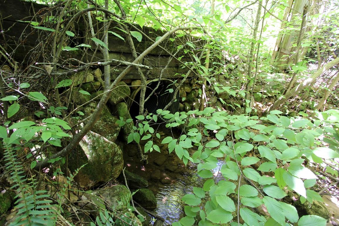 3408 Rocky Ridge Road Cosby, TN 37722 - Photo 22 of 36 IMG_4922