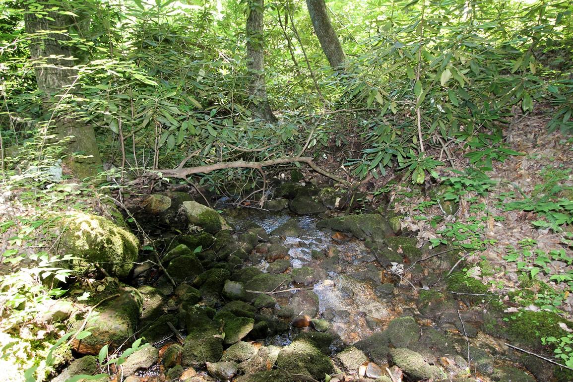 3408 Rocky Ridge Road Cosby, TN 37722 - Photo 23 of 36 IMG_4926