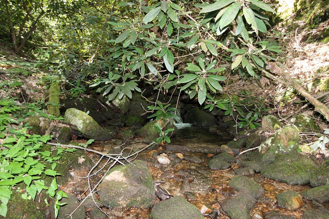 3408 Rocky Ridge Road Cosby, TN 37722 - Photo 24 of 36 IMG_4927