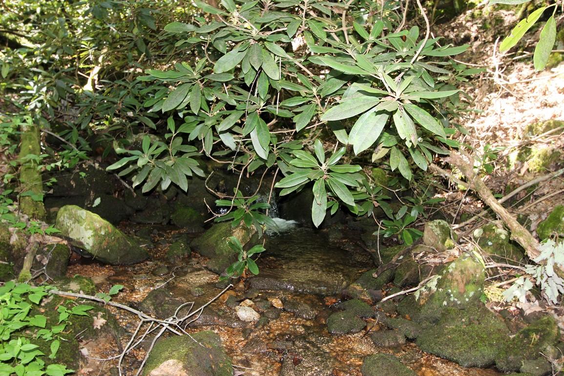 3408 Rocky Ridge Road Cosby, TN 37722 - Photo 25 of 36 IMG_4928