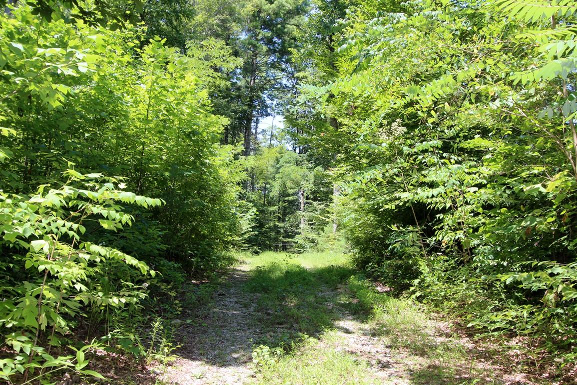 3408 Rocky Ridge Road Cosby, TN 37722 - Photo 27 of 36 IMG_4931