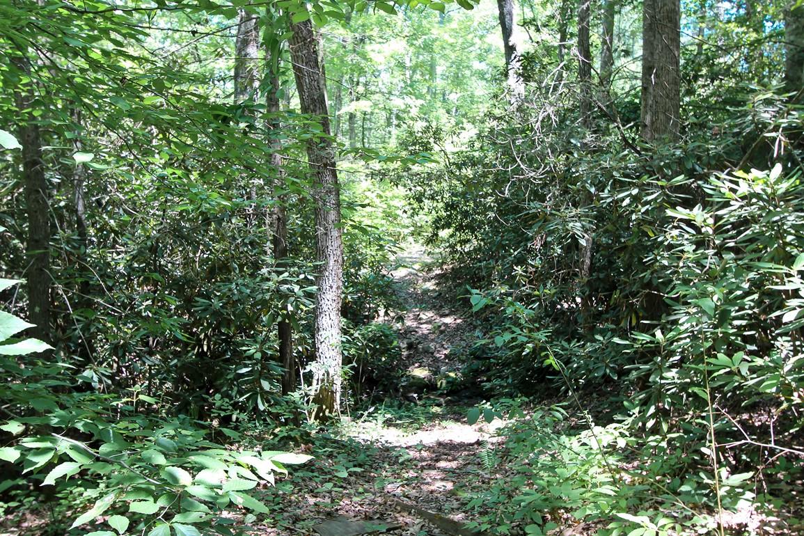 3408 Rocky Ridge Road Cosby, TN 37722 - Photo 30 of 36 IMG_4958