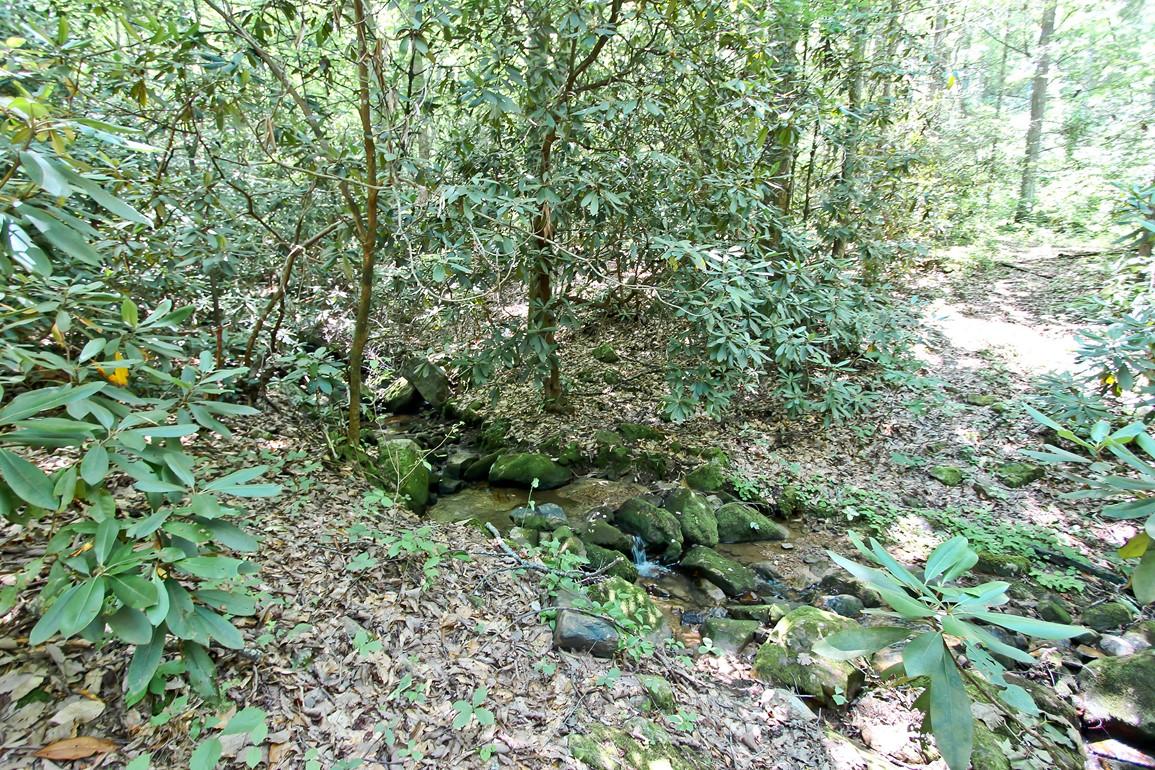 3408 Rocky Ridge Road Cosby, TN 37722 - Photo 33 of 36 IMG_4962