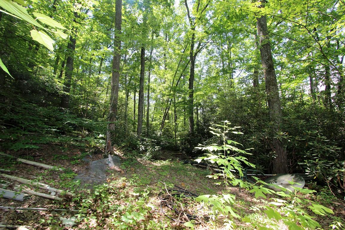 3408 Rocky Ridge Road Cosby, TN 37722 - Photo 35 of 36 IMG_4973