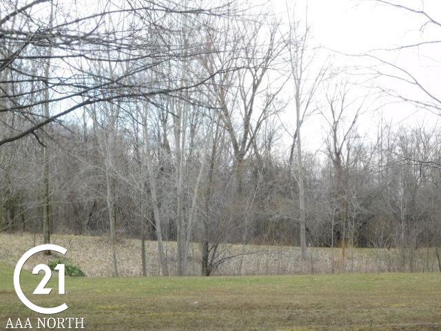 5160 Cochrane Road Almont, MI 48003 - Photo 38 of 39