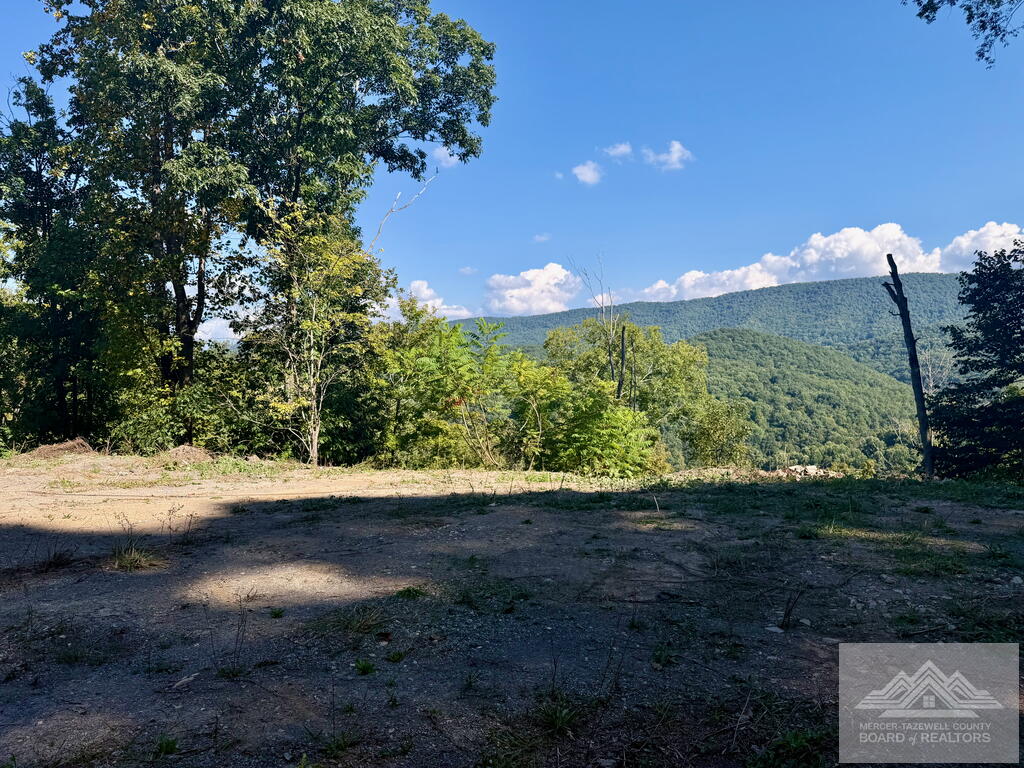 0 Country Girl Road Bluefield, WV 24701 - Photo 12 of 15 Gallery Image 12