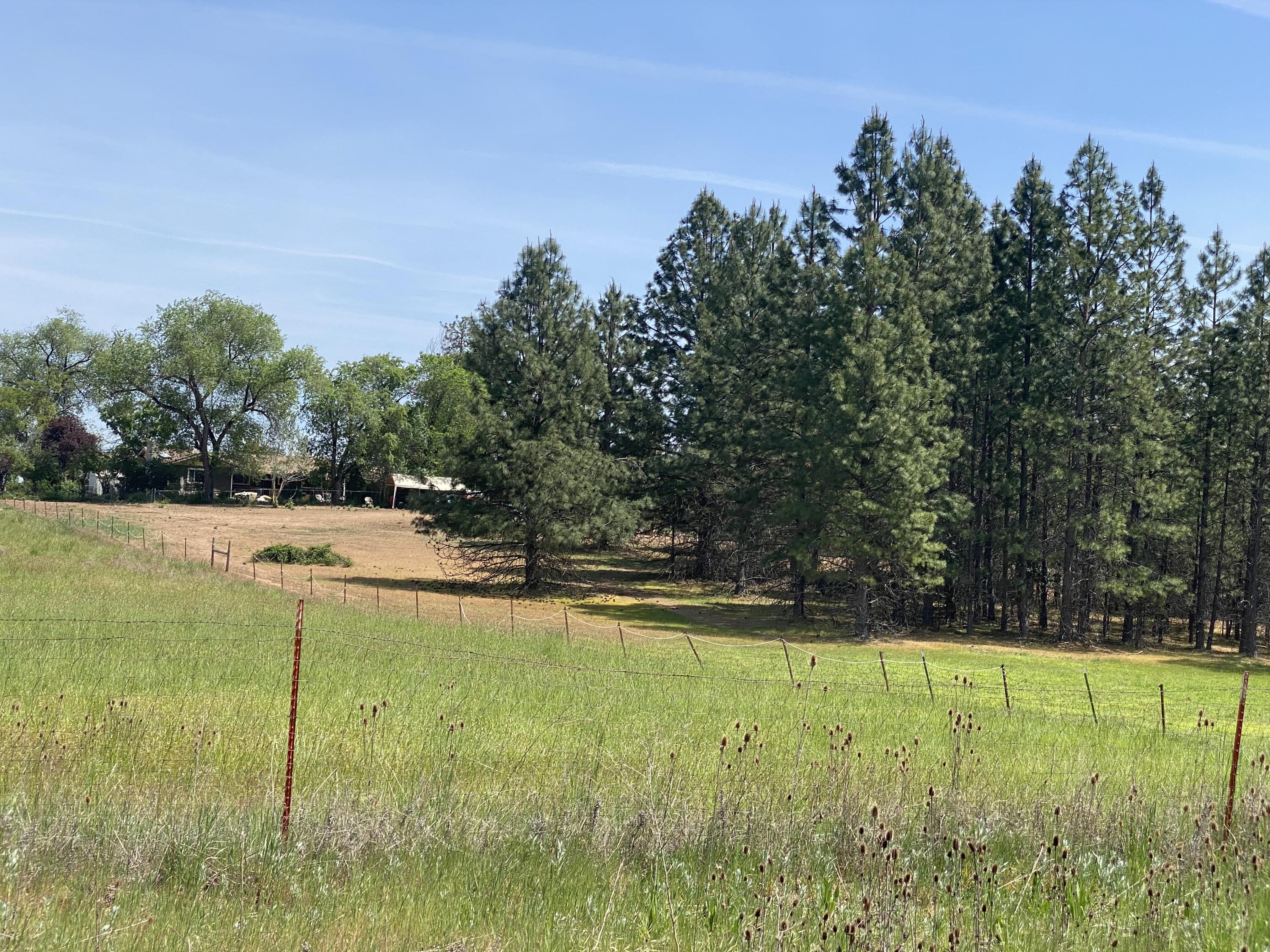 8500 Ramsey Road Gold Hill, OR 97525 - Photo 4 of 34 IMG_2755