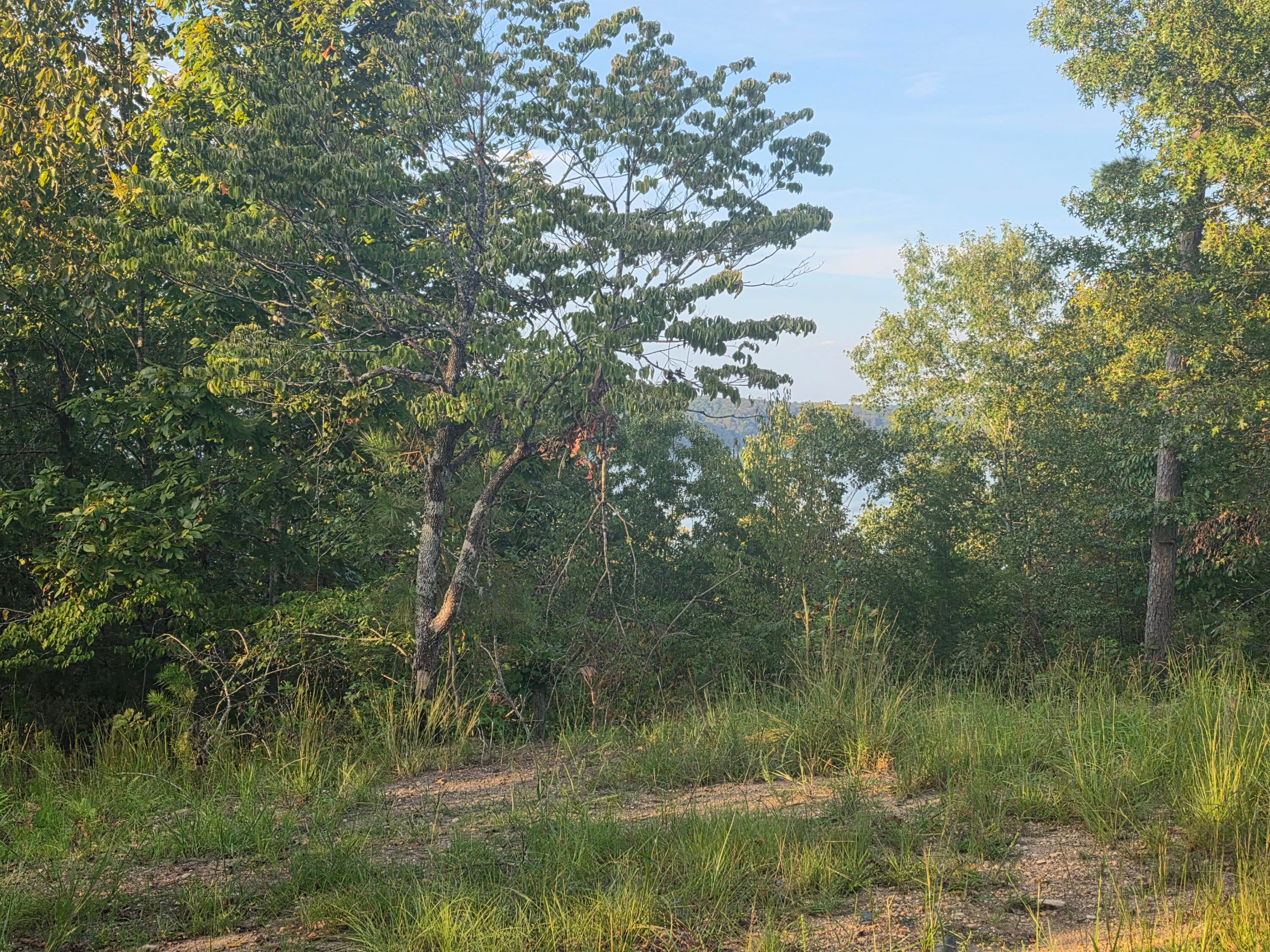 254 County Road Iuka, MS 38852 - Photo 5 of 11 Gallery Image 5
