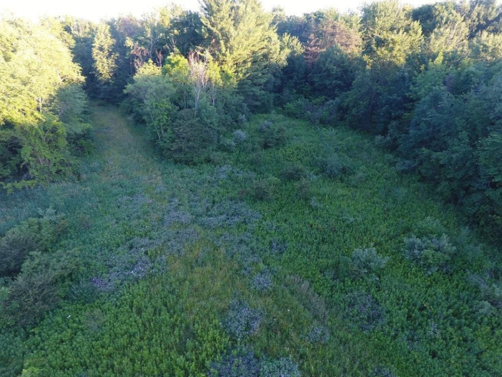 -vl Slee Road Onsted, MI 49265 - Photo 5 of 18 DJI_0014