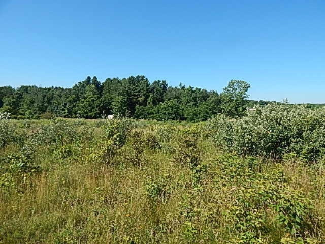 -vl Slee Road Onsted, MI 49265 - Photo 8 of 18 DSCN3726