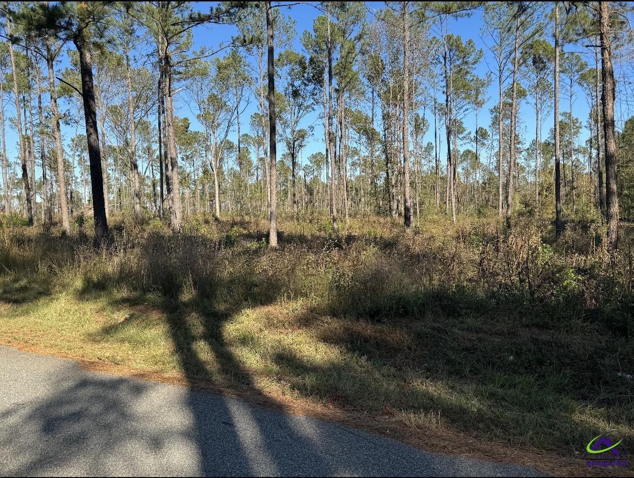 Tract-8 Lower Simmons Road Macon, GA 31220 - Photo 3 of 13