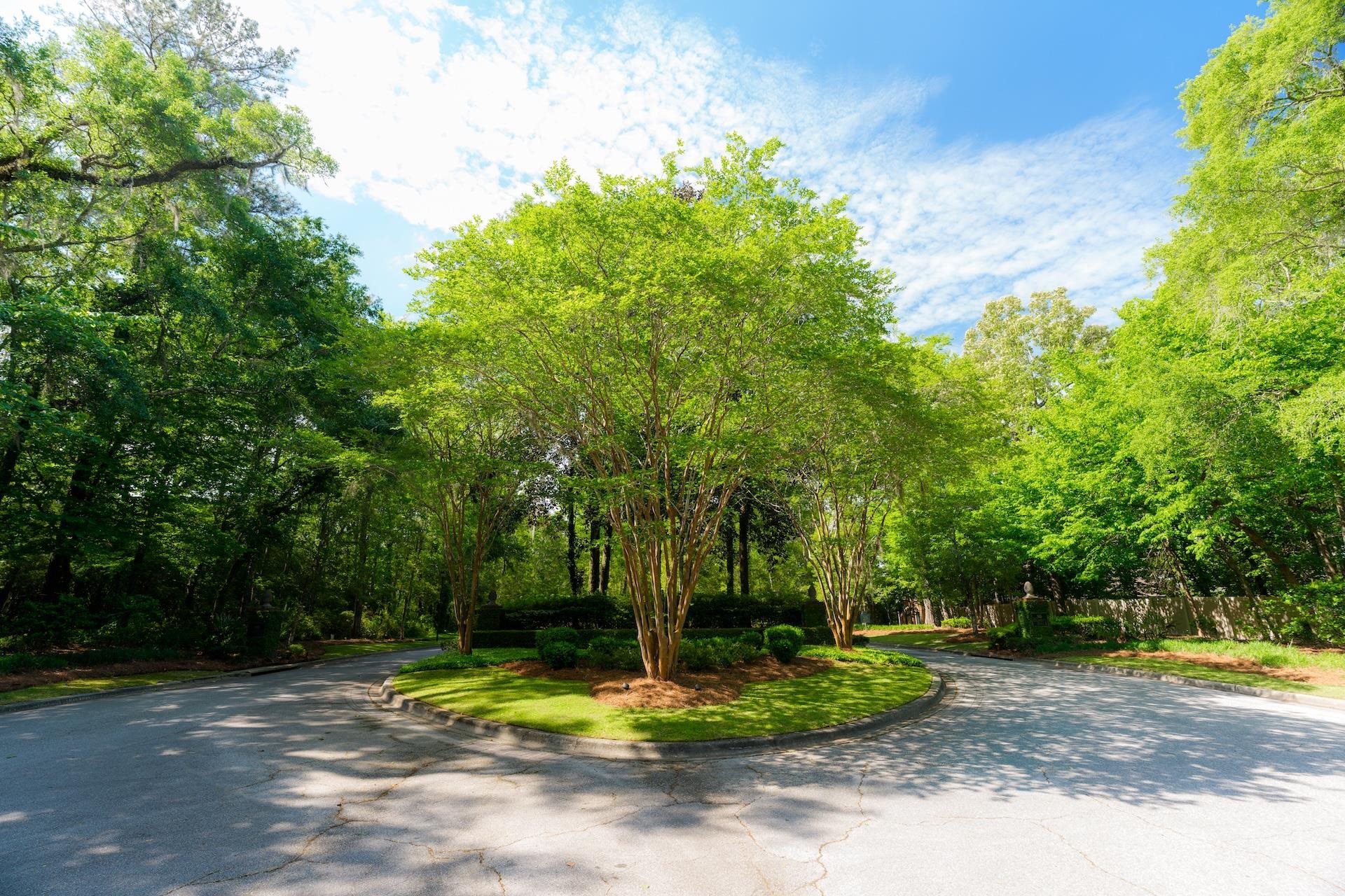 3824 East Millers Bridge Road Tallahassee, FL 32312 - Photo 50 of 51