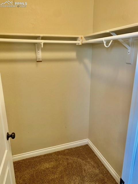 1510 York Road, Unit 100 Colorado Springs, CO 80918 - Photo 12 of 27 Walk in Closet