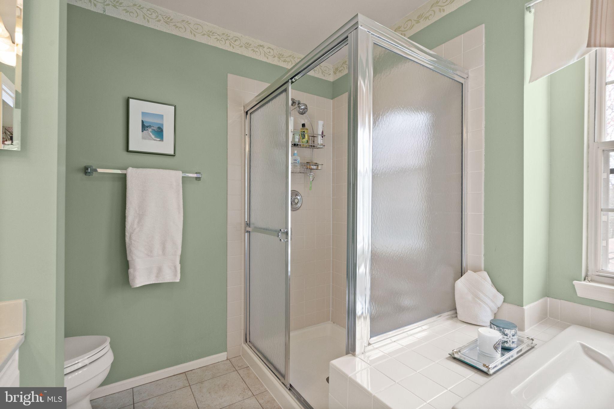 14735 Pickets Post Road Centreville, VA 20121 - Photo 32 of 69 Large, stall shower.