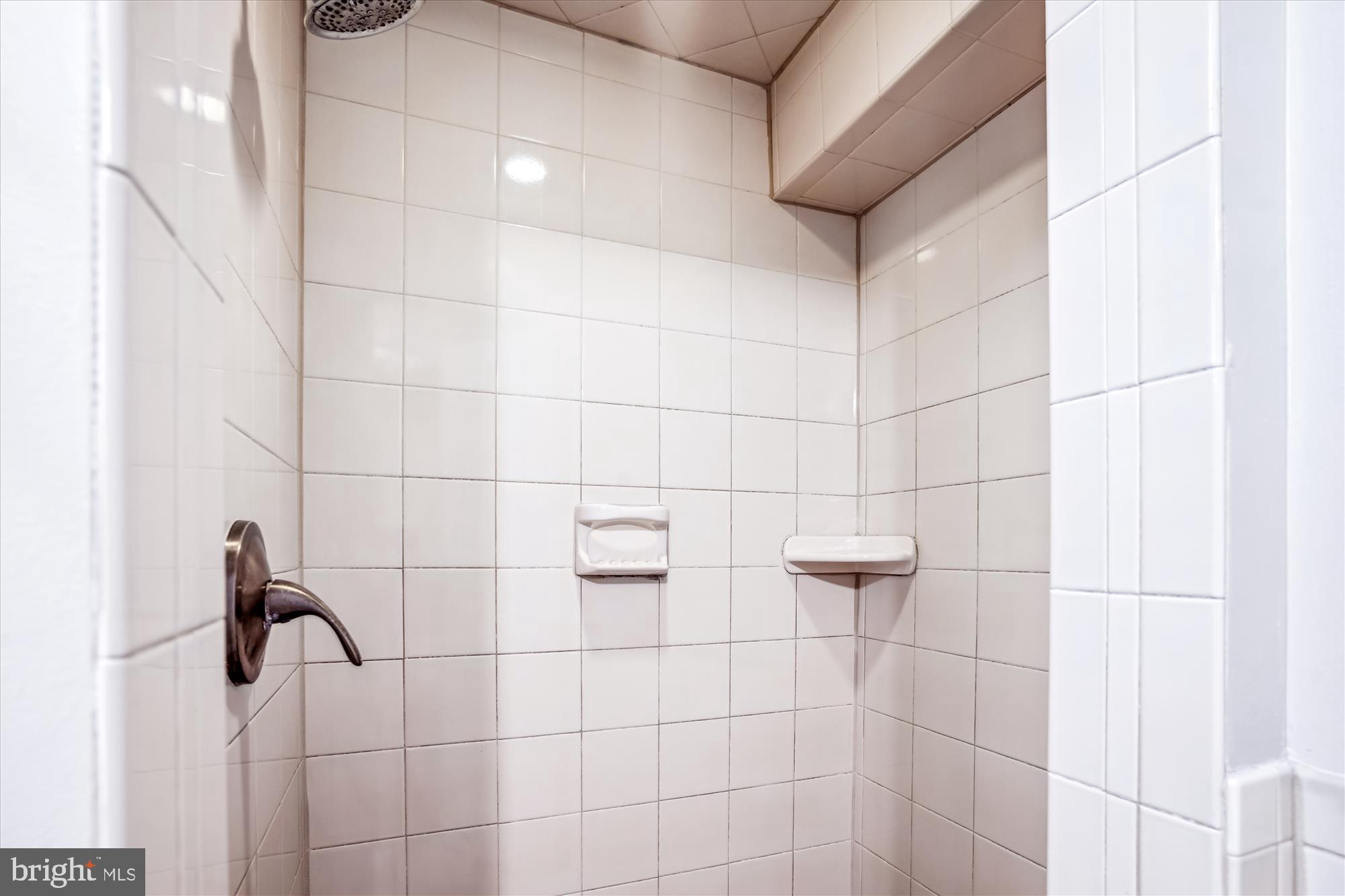 9711 Saxony Road Silver Spring, MD 20910 - Photo 25 of 32 3rd Full Bath shower
