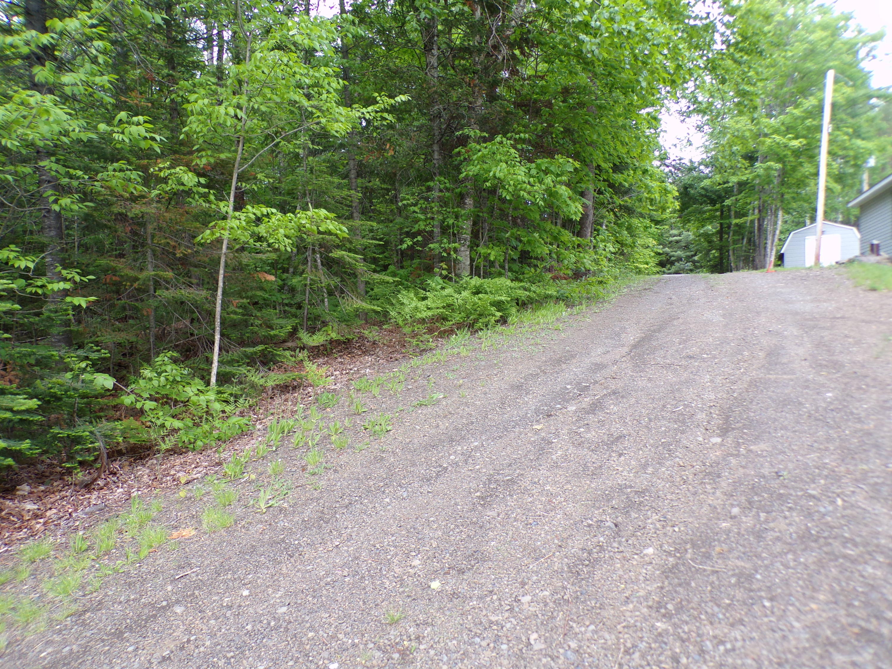 479 East Cottage Road Portage, ME 04768 - Photo 55 of 55 101_0128