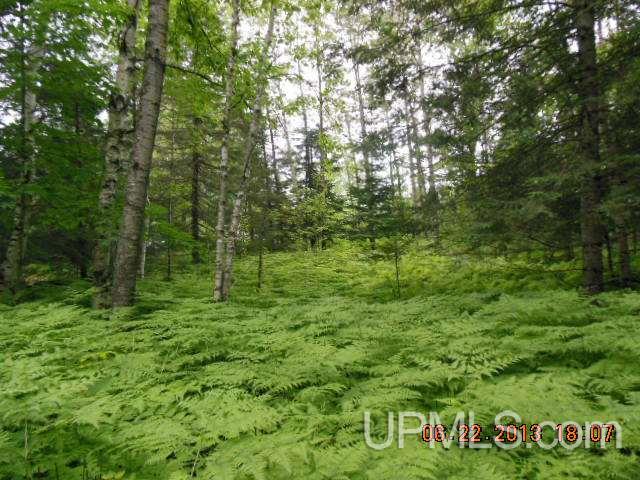 Chief Lake Road Republic, MI 49879 - Photo 3 of 4