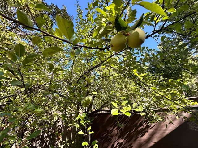a view of a wooden fence