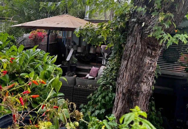 a view of outdoor space yard and patio